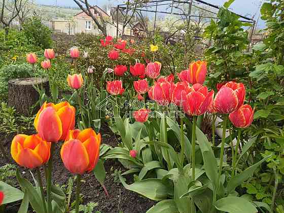 Продаж Будинок 4-кімнатний на вул. Західна 