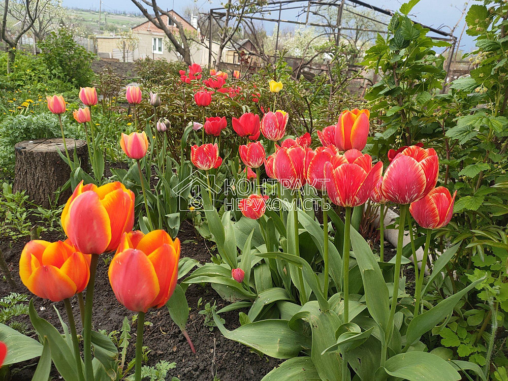 Продаж Будинок 4-кімнатний на вул. Західна  - фото 3