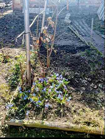 Оренда Квартира 1-кімнатна, 1/1 поверх на вул. Бульварна Высокий