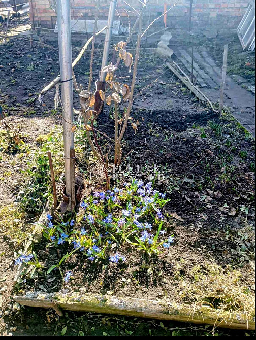 Оренда Квартира 1-кімнатна, 1/1 поверх на вул. Бульварна Високий - фото 5