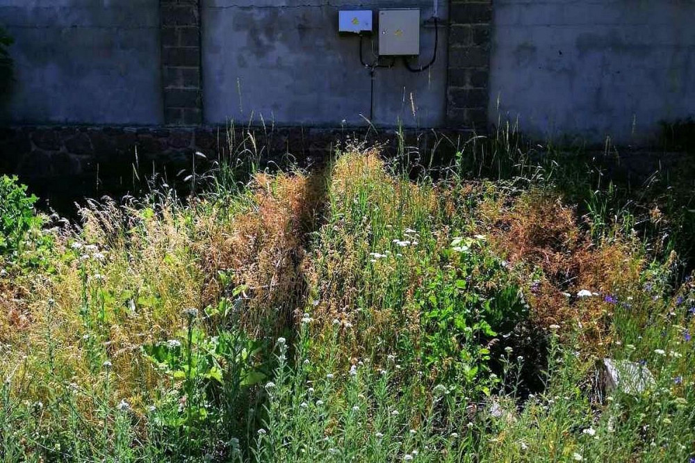 Продаж земельної ділянки 19 соток на вул. Гоголя Кропивницький - фото 5