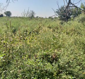 Продаж земельної ділянки 0.1 соток на ул. Виктора Свередюка, 8 Велика Балка - фото 2