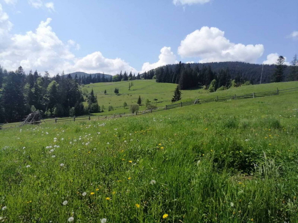 Продаж земельної ділянки 33 соток на Івана-Франка Ворохта - фото 12