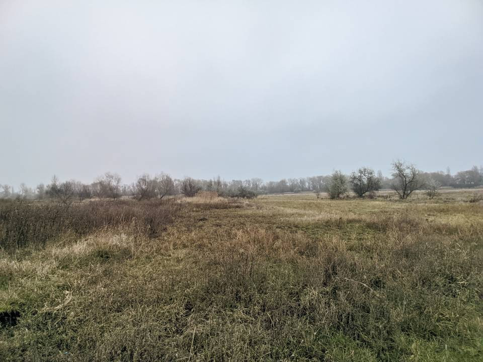 Продаж земельної ділянки на , Коржова Слобода - фото 2