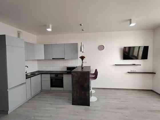 Оренда Квартира 1-кімнатна, 18/25 поверх на Пчілки, 3В Киев