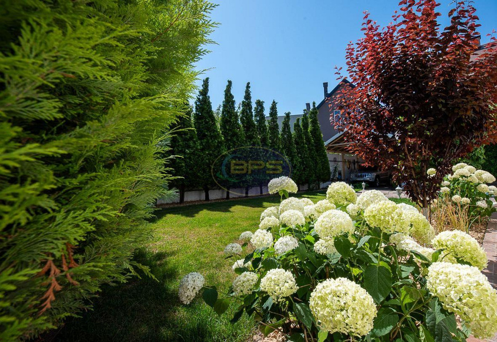 Продаж 1-поверховий Будинок з ділянкою 6.5 сот 135 кв.м 3 кімн.  Бурлача Балка - фото 3