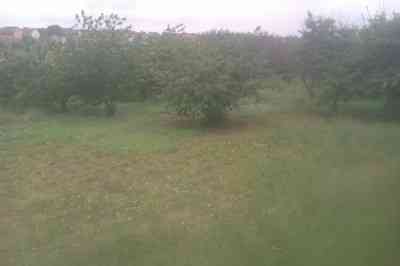 Продаж земельної ділянки 0.1 соток на ул. Виноградна, 2а Нерубайське