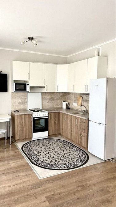 Оренда Квартира 1-кімнатна, 13/16 поверх на проспект Берестейський, 65Б Київ - фото 3