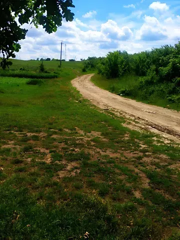 Продажа земельного участка  площадь 46 сот Лісова вулиця  - изображение 5