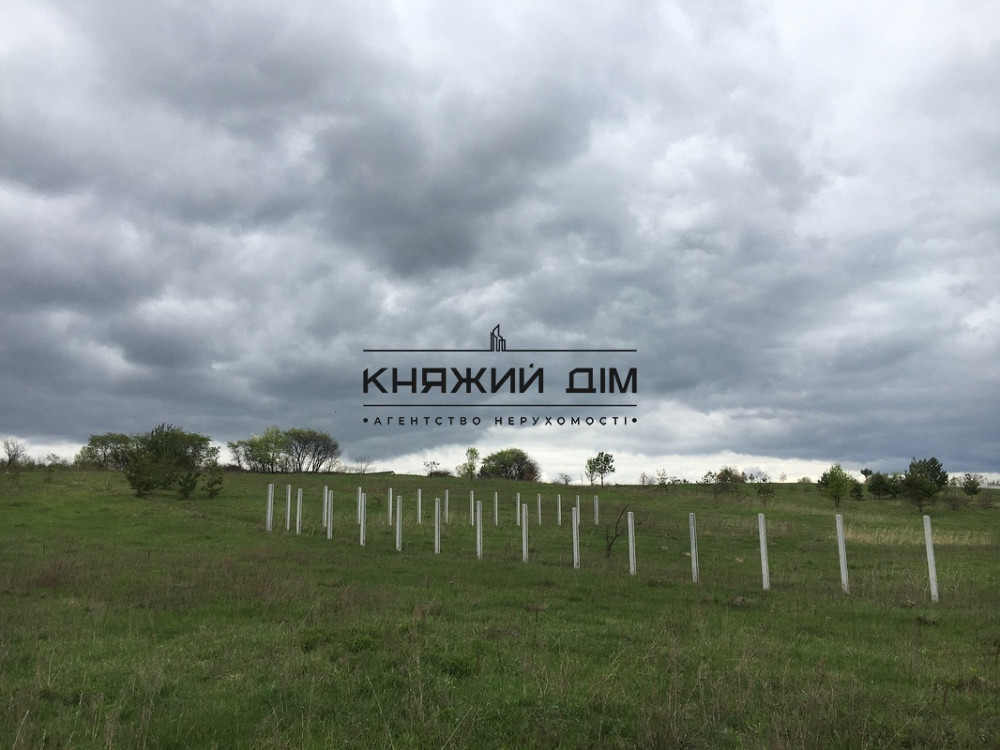 Продаж земельної ділянки 13 соток Колонщина - изображение 3