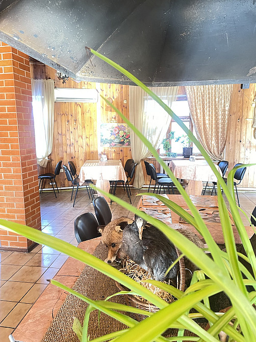 Продаж комерційне приміщення на ул. Чигиринского (ул. Новомосковская), 23б приміщень - 4, поверх - 1 Одеса - фото 4