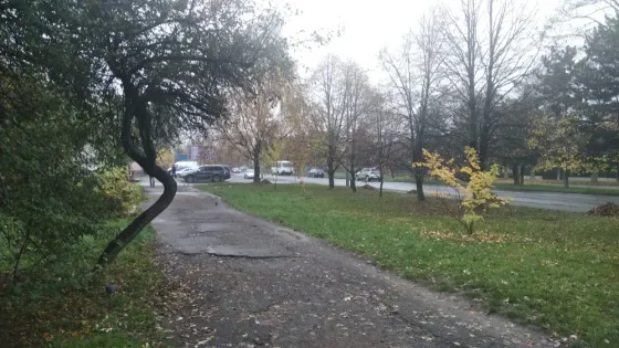 Продаж Приміщення в житловому будинку площа 60 кв.м 1-й поверх на Грушевського Ужгород