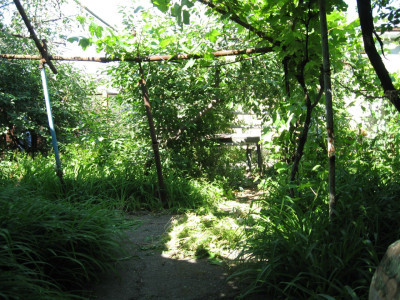 Продаж земельної ділянки 0 соток на ул. Дмитрия Донского, 17 Odessa - photo 2