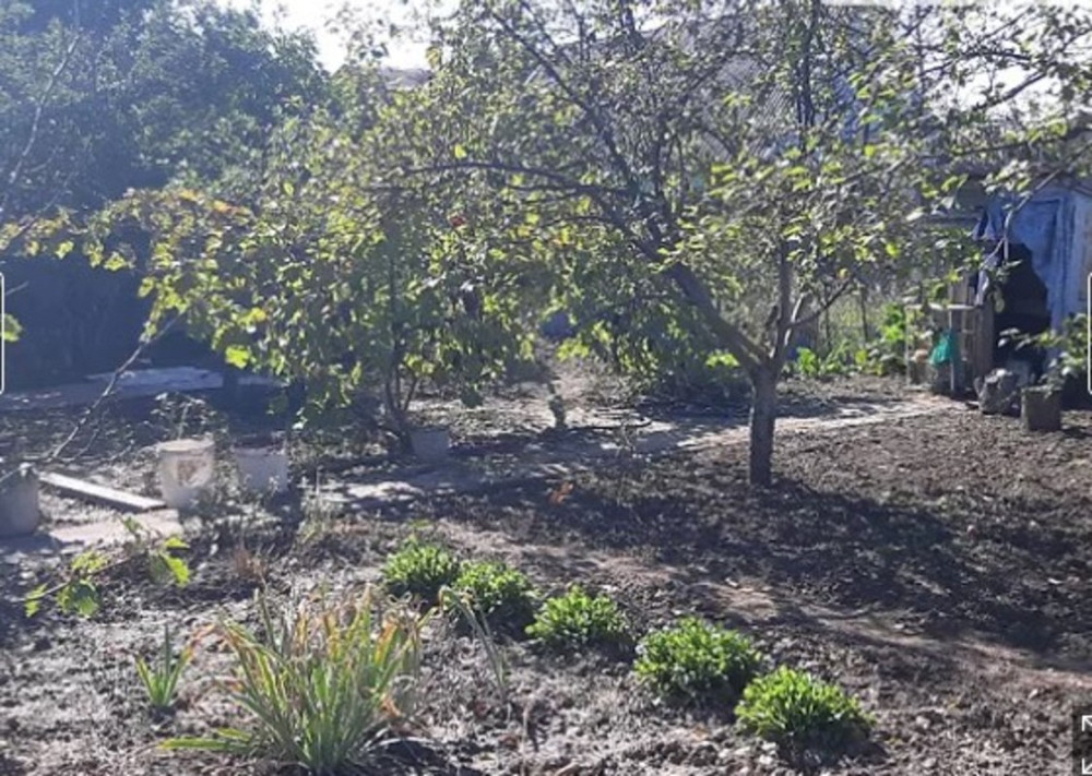 Продаж земельної ділянки 6 соток на Центральная ул.  - photo 2