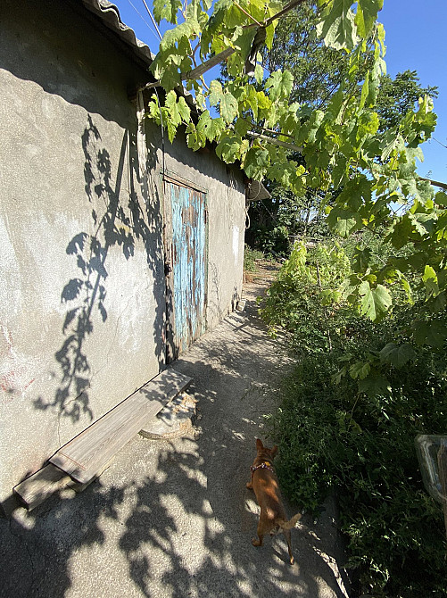 родам БОЛЬШУЮ  КВАРТИРУ на Новосельского/Л.Толстого Одеса - фото 1