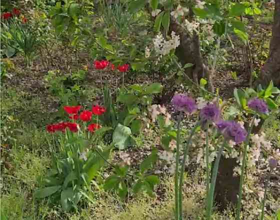 Продам дом в селе Светлое, 5 км. от Одессы Світле