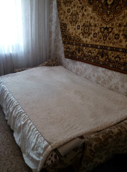 Продам дом в Крыжановке Kryzhanivka (Kominternivskyi raion) - photo 4