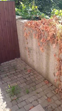 Таунхауз с ремонтом.  Круглосуточная охрана. Limanka