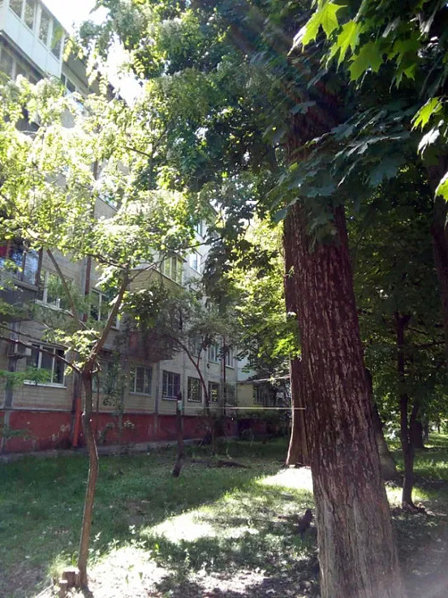 Продаж Квартира 2-кімнатна, 2/5 поверх на Академіка Туполєва вул., 20 Киев - изображение 4