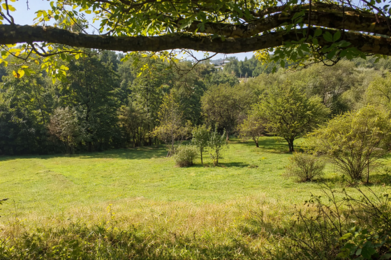 Продаж Будинок Verbovets