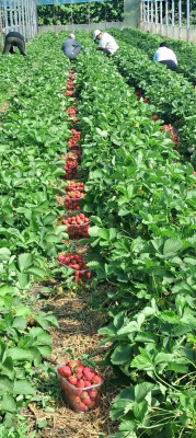 Продаж земельної ділянки 0 соток на ул. Молодіжна, 5 Rozdil'na - photo 3