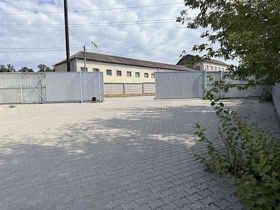 Оренда комерційного приміщення, 430 кв.м, Велика Березовиця Велика Березовиця