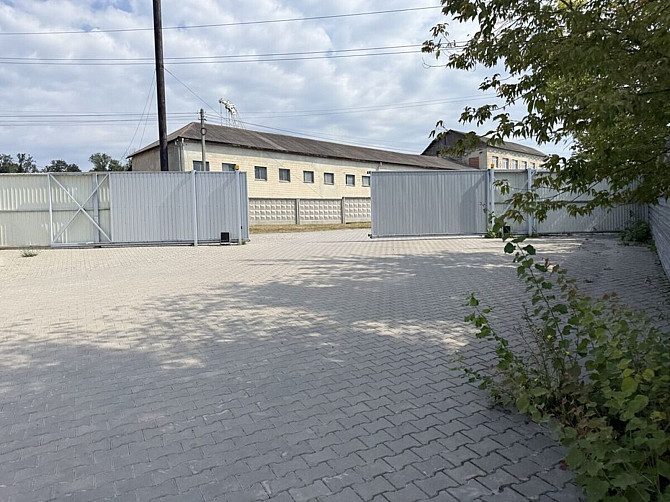Оренда комерційного приміщення, 430 кв.м, Велика Березовиця Велика Березовиця - фото 3