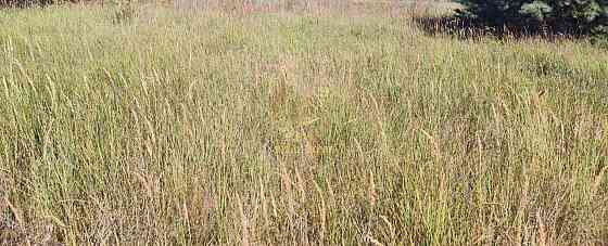 Продаж земельної ділянки 12 соток на Центральная ул. Yasnohorodka (Vyshhorodskyi raion)