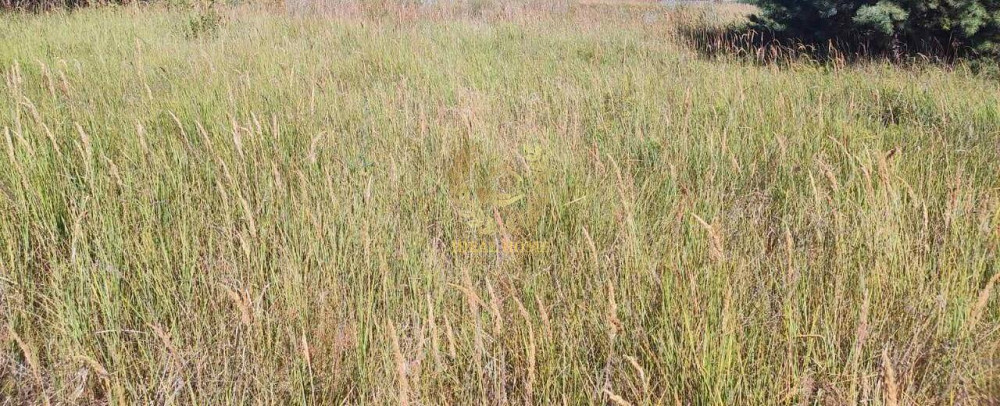 Продаж земельної ділянки 12 соток на Центральная ул. Yasnohorodka (Vyshhorodskyi raion) - photo 3