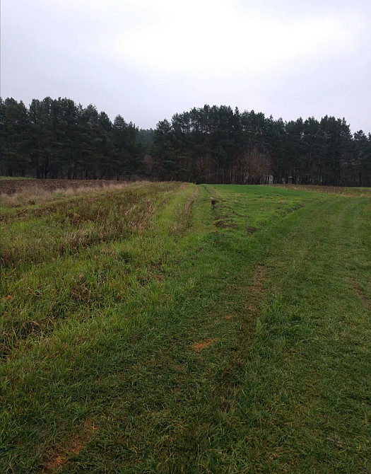 Продаж земельної ділянки 15 соток на Левков Житомир - фото 2