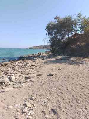 Продаж земельної ділянки 0.1 соток на ул. ул. Бузкова Долина (ДСТ "Витамин"), 28а Нерубайське