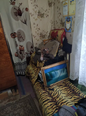 Продам часть дома в с.Великодолинское (Одесская обл., Овидиопольский р-н) Великодолинське