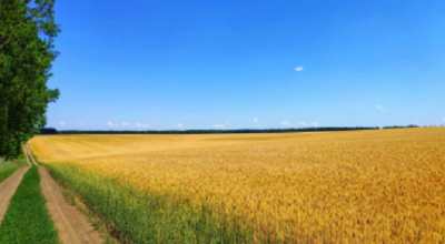 Продаж земельної ділянки 0.1 соток на ул. Массив 11, 12/10а Limanka