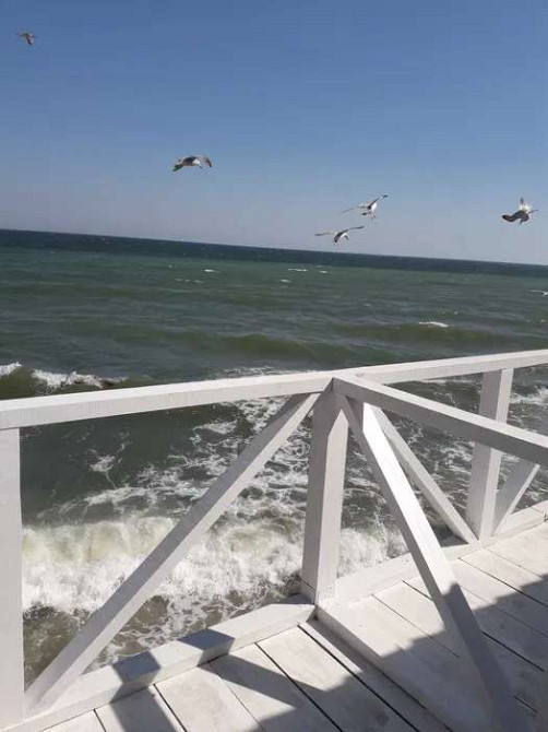 Продаж земельної ділянки 0.2 соток на переулок Фиалковый, 3 Молодижне - изображение 10