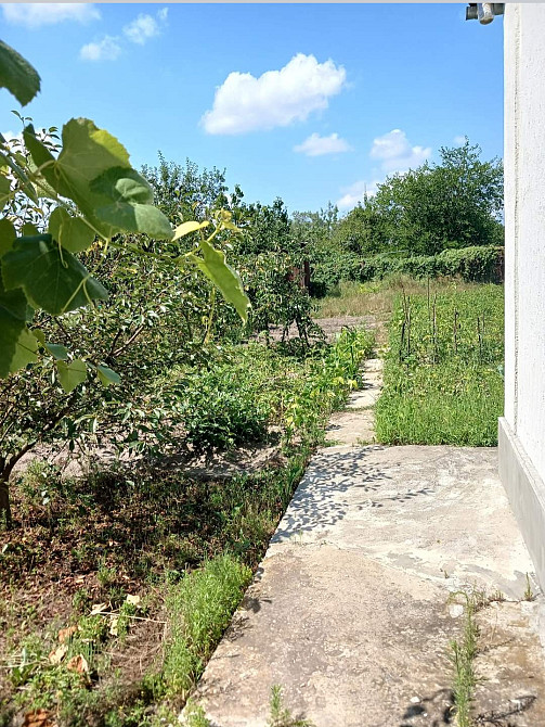 Продаж 1-поверховий Дача з ділянкою 18 сот 50 кв.м 2 кімн. на Буки Zhytomyr - photo 4