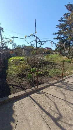 Продажа земельного участка Для строительства частного жилого дома площадь 5 сот Крыжановка Одесса