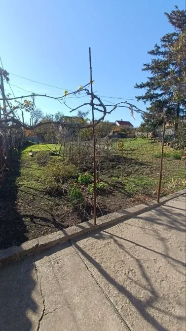 Продаж земельної ділянки Для будівництва приватного житлового будинку площа 5 сот Крыжановка Одеса - фото 4