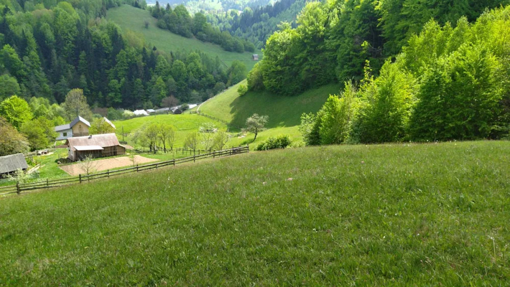 Продаж Будинок Болехів - фото 10