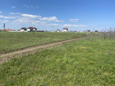 Продаж земельної ділянки 0.1 соток на массив Солнечный, 12 Авангард - фото 3