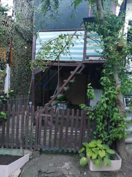 Продам курень на берегу моря в Крыжановке (218 Причал) Kryzhanivka (Kominternivskyi raion) - photo 18