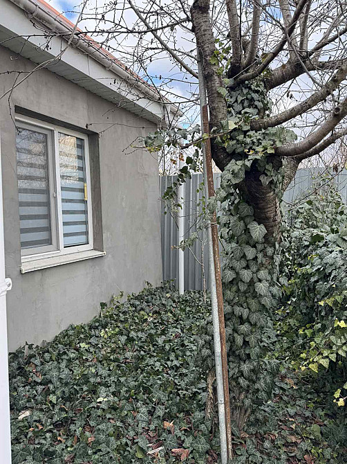 Дача зимнего типа в Алтестово Алтестове - фото 3