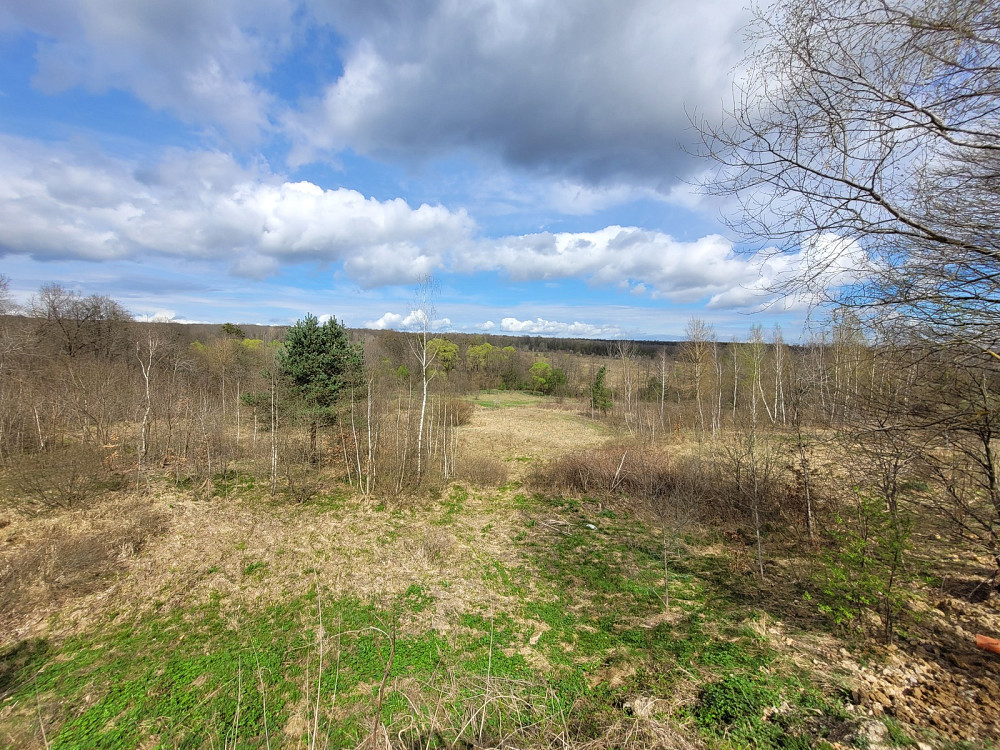 Продаж земельної ділянки 1.25 га на Франка Pavlivka - photo 11