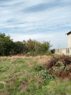 Продаж земельної ділянки 5 соток на ул. Учительская, 88 Фонтанка - фото 2