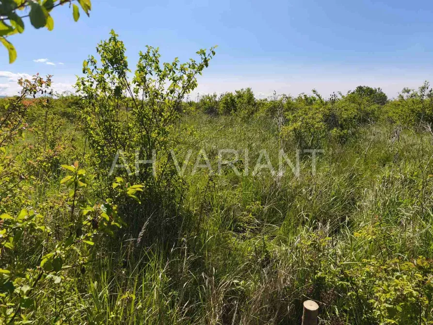 Продаж земельної ділянки Для сільськогосподарської діяльності площа 8 сот Польова Кінчеш - фото 10