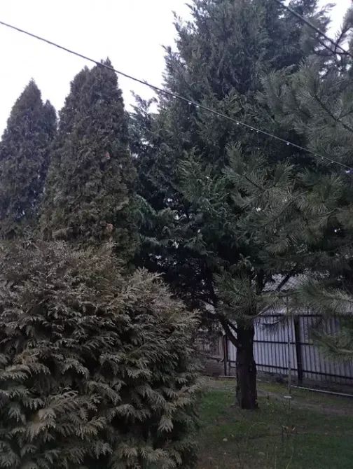 Продаж Будинок Днепр - изображение 1