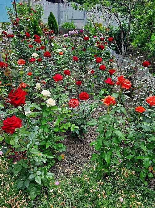 Продаж Будинок 5-кімнатний на вул. Бондарівська Novaya Vodolaga - photo 8