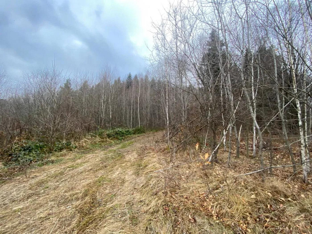 Продаж Квартира на улица Степана Бандери Boryslav - photo 18