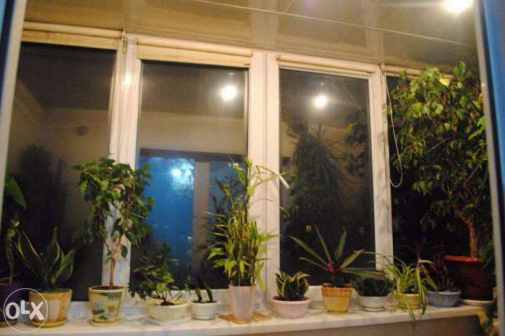 Продаж 4к Квартира 77 кв.м Великопроменская, 40 Бориспіль - фото 4