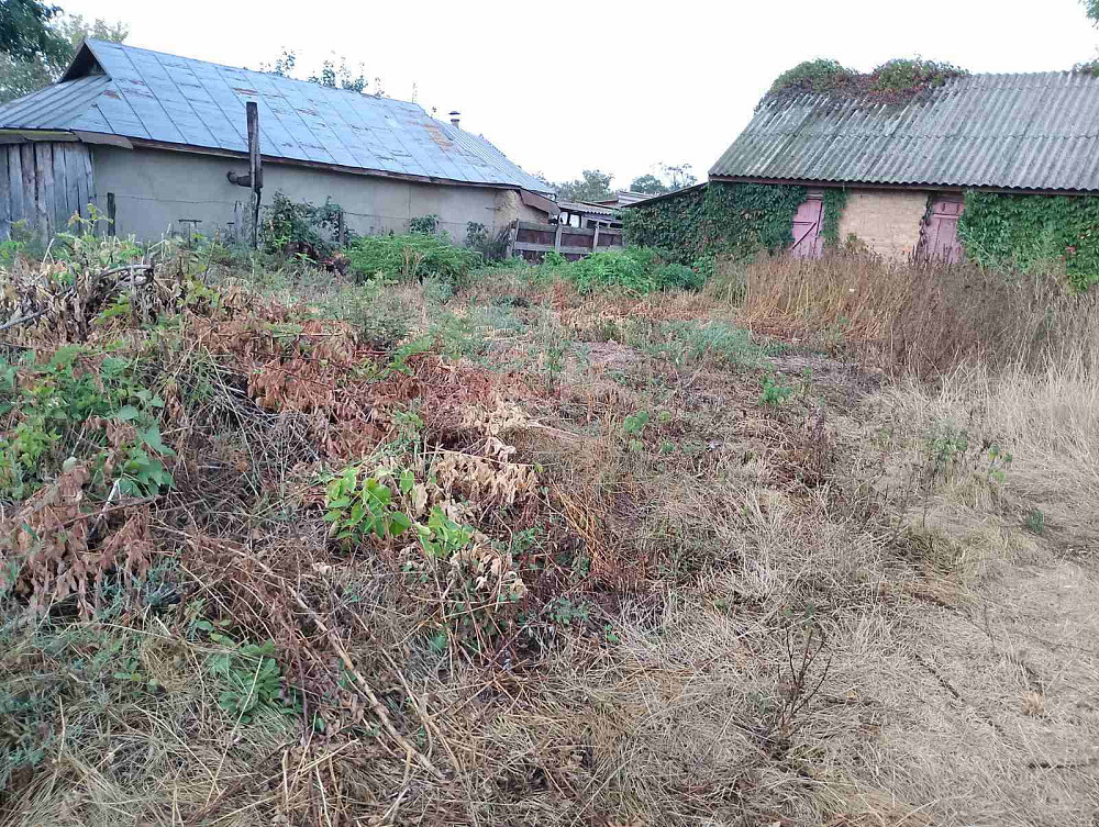 Продаж Будинок Ostapkivtsi - photo 5