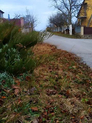 Продажа земельного участка  площадь 10 сот Заньковецької вулиця 1  - изображение 10